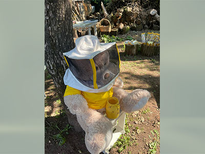 festa-api_00_orso_apicoltore